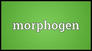 Morphogen Meaning [upl. by Boles]