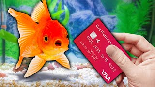 I Gave My Goldfish My Credit Card to Spend [upl. by Ardnekan]