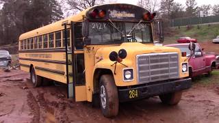 ANOTHER SCRAPPED SCHOOL BUS 1985 International [upl. by Llerroj]