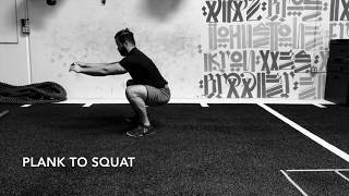 Plank To Squat [upl. by Dolloff]