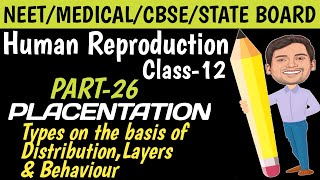 types of placenta  human placenta  biology boostup [upl. by Yenoh]