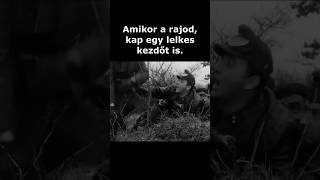 Féltek mi 🤔 Nyavalyások🗯️ 😂 airsoft short funny [upl. by Ydde]