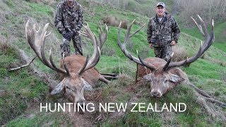 Red Stag amp Fallow Buck Hunting New Zealand May 2013 [upl. by Ecinhoj730]