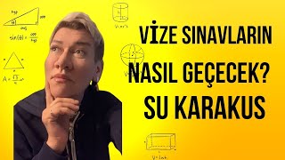 VİZELER NASIL GEÇECEK TAROT AÇILIMI SU KARAKUŞ [upl. by Notnilc]