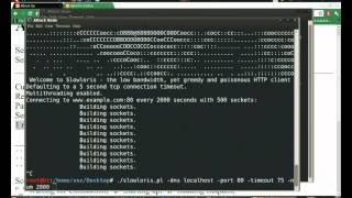 How to DoSDDoS a server with slowloris [upl. by Connel]