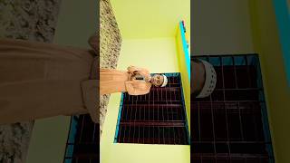 qari quran islamicsong quranrecitation gojol banglagozol arrayhaninternationalmadrasah [upl. by Latsryk]