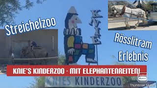 Zürich Ausflug  Ein Tag in Knies Kinderzoo in Rapperswil [upl. by Mag702]