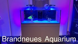 Vivarium 2024 Das neue Giesemann MeerwasserAquarium CHROMA [upl. by Auqinet578]