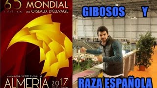 65º CAMPEONATO MUNDIAL DE ORNITOLOGÍA  Lali en adobo [upl. by Broder]