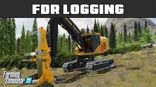 Why We Dont Have Live Heel Dangle Heel Knuckle Boom  FDR Logging 4  Farming Simulator 2022 [upl. by Santoro]