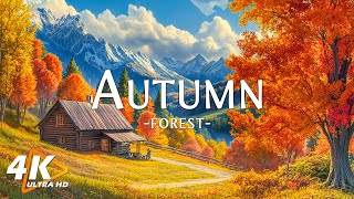 November Autumn Scenery with Peaceful Relaxing Music🍁Instant Relief from Anxiety amp Stress  Healing [upl. by Aara]