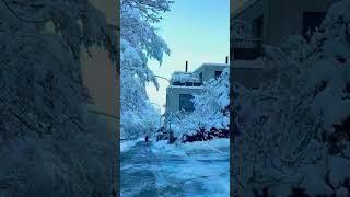 swerzland Winter swissroads travel shortsvideo [upl. by Ahsima]