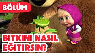 Maşa İle Koca Ayı 🪴 Bitkini nasıl eğitirsin 😋 Bölüm 99 Yeni bölüm 2024💥🎬 [upl. by Cadel267]