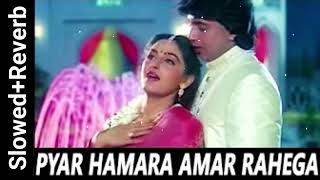 Pyar Hamara Amar Rahega Lofi Song Mohammed Aziz Asha Bhosle  Muddat Songs  Mithun  Jaya [upl. by Stultz529]