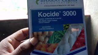 Kocide 3000 Fungicide। Copper Hydroxide বর্ষাকালে সবজি ফসলকে বাঁচানোর জন্য সেরা ছত্রাকনাশক [upl. by Boorer329]