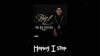 Big L  98 Freestyle LYRIC VIDEO [upl. by Afirahs]