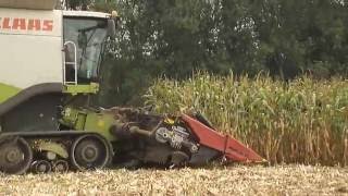 mais dorsen 2016  Claas Lexion 760 terra trac [upl. by Erot]