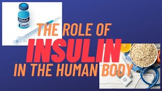 What is insulin and what does it do in the body [upl. by Adlai]