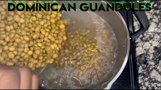 How to make guandules guisados dominicano  Dominican guandules guisados  guandules from the can [upl. by Moitoso]