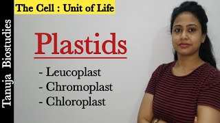 Cell The Unit of LifeEndomembrane System  Plastids  Chloroplast Chromoplast amp Leucoplast  NEET [upl. by Aicnarf]