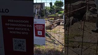 Archaeologists at Work in Savona’s Medieval Cathedral 🏰⛏️🕰️savona liguria italy [upl. by Dj]