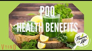 PQQ HEALTH BENEFITS [upl. by Engel]