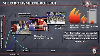 I sistemi energetici il continuum [upl. by Layman588]