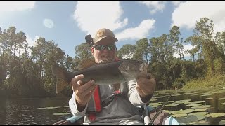 Kayak Fishing Report 1132024 [upl. by Ponzo]