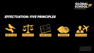 GS4E Knowledge clip Effectuation principles [upl. by Esinal]