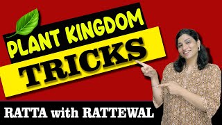 PLANT KINGDOM  Super Easy Tricks  Part 1  Ritu Rattewal [upl. by Ninel422]