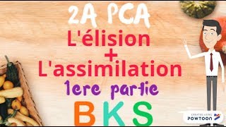 Lélision  lassimilation 1ère partie PCA 2A licence [upl. by Atrim]