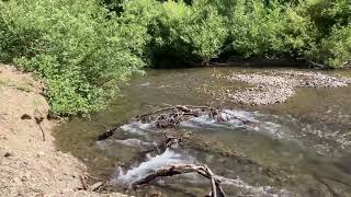 The Gualala River in Northern California [upl. by Enelyam]