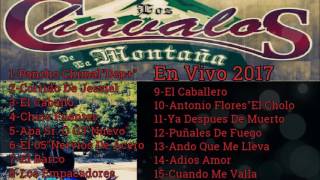 Los Chavalos De La Montaña  Album En Vivo Disco Completo 2017 [upl. by Ynettirb427]