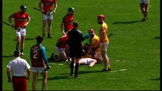 2015 Leinster Hurling Championship Carlow v Antrim Westmeath v Laois [upl. by Alma742]