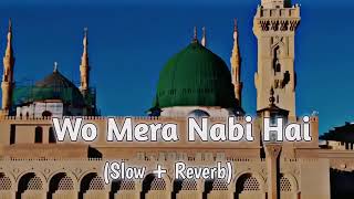 wo Mera nabi hai salowed reverb naat [upl. by Mallin]