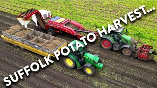 4Kᵁᴴᴰ July 2024 Potato harvest in Friston  Fendt 828 Grimme GT 170 John Deere 6R 140 AH trailer [upl. by Datnow]