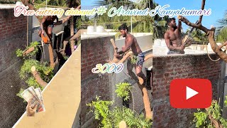 Tree cutting channel  trending channel Aravind  Kanyakumari [upl. by Meesak]