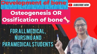 development of boneOsteogenesis or ossification of bone types of ossification [upl. by Terencio]