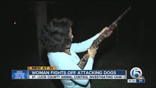 ATTACKED Woman Fights Off Pit Bull Dogs With Shotgun [upl. by Acinoed253]