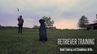 Formal Hand Training and Steadiness With Your Gundog  Hunting Dog Training [upl. by Atinele]