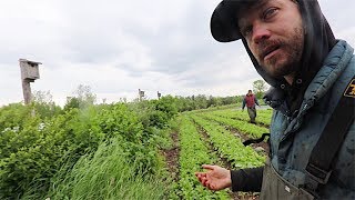 How Market Gardner JM Fortier Farms 8 Acres Without A Tractor [upl. by Enoved]