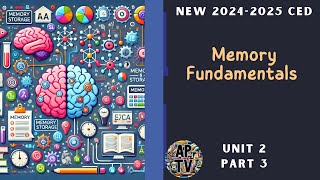 🎯Memory Fundamentals and Storage  AP Psychology Unit 2 Part 3🎯 [upl. by Macfadyn265]