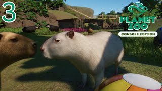 FAN FAVORITES  Planet Zoo Console Edition Franchise Mode [upl. by Ainessey]