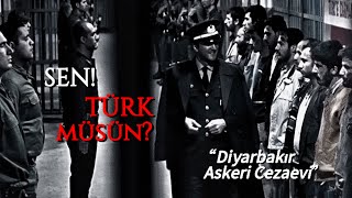 Esat Oktay Yıldıran  Shadow Lady Edit [upl. by Yattirb]