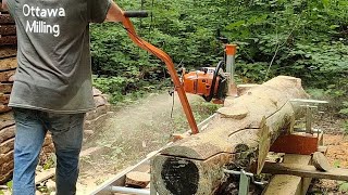 Norwood sawmills PM14 milling white pine in realtime [upl. by Ennaesor]