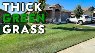 Thick GREEN Bermuda Grass [upl. by Zebulen]