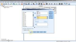 Kendalls tau b correlatiecoëfficiënt met SPSS [upl. by Elena]