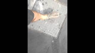 Paleo Barefoots City walking [upl. by Davenport]