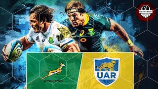 Springboks vs Argentina Best Moments From Recent Matches [upl. by Oijimer]