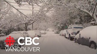 Heavy snow blankets Metro Vancouver [upl. by Nonnerb]